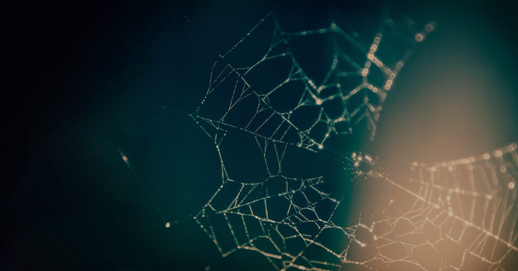 Managing hidden risks through relationship mapping for better risk management in Australia.